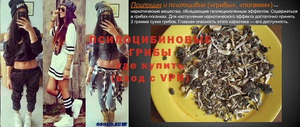 spice Костерёво