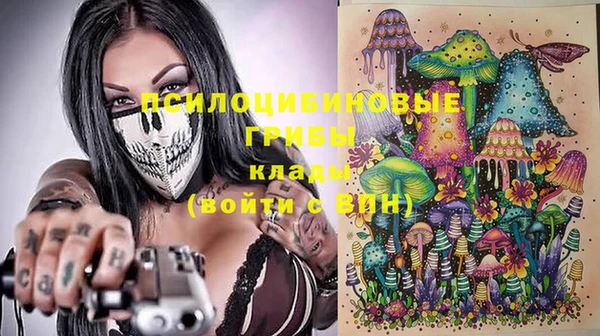 a pvp Коряжма