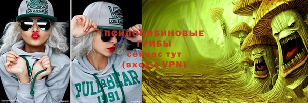 ПСИЛОЦИБИНОВЫЕ ГРИБЫ Кулебаки